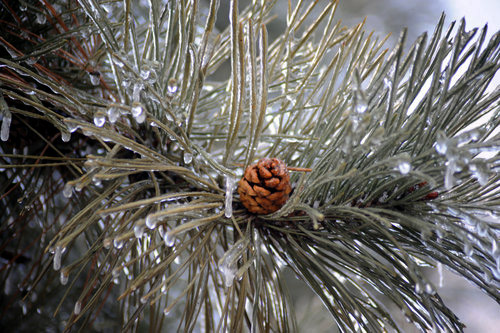 Freezing cold hits NE China