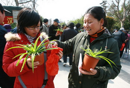 Free plants distributed in Wuhan