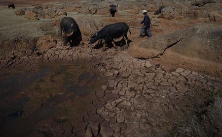 Surviving on muddy water