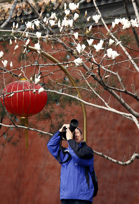 Cold spring in Beijing