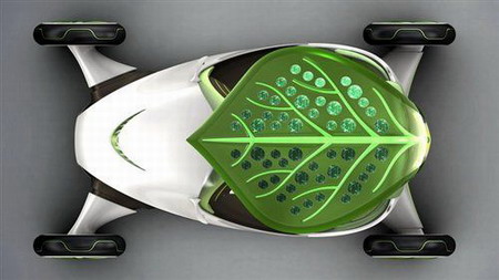 Leaf concept car unveiled at Shanghai Expo