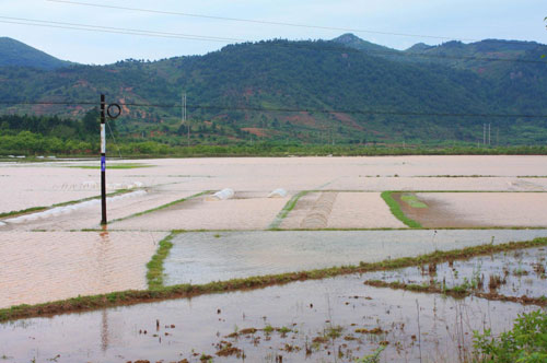 Torrent sweeps Guangxi