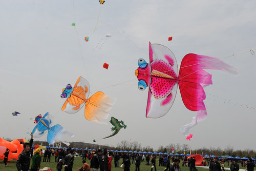 kites fly high in Weifang