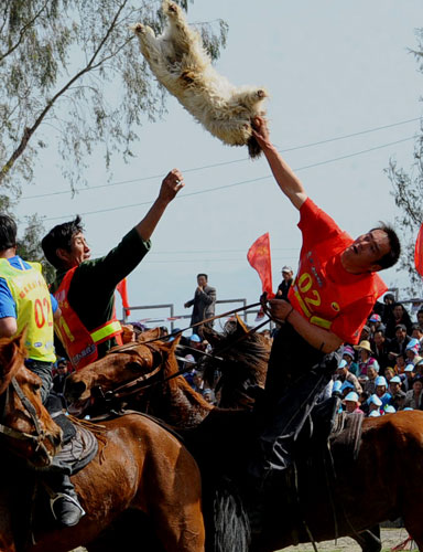 Let the sheep-catching begin