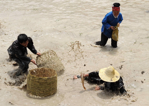 Miao people celebrate Sisters Festival