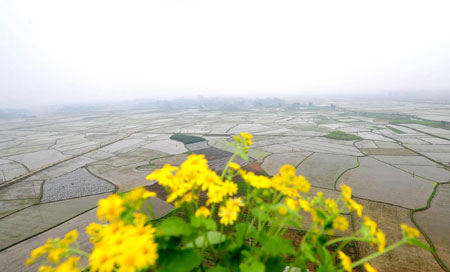 Guangxi relieved from prolonged drought