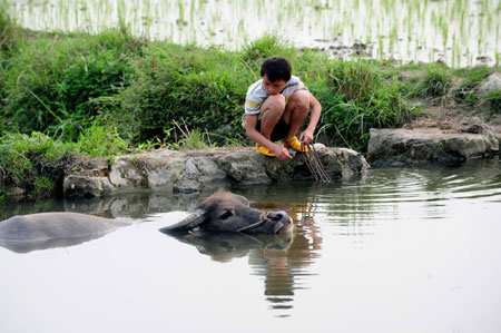 Guangxi relieved from prolonged drought