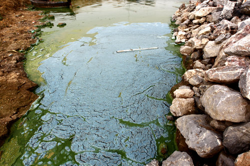 China's fifth biggest lake hit by bacteria