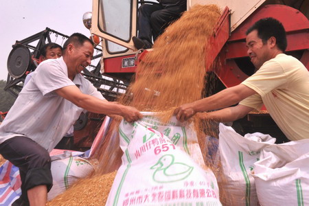 Race for wheat harvest in central China