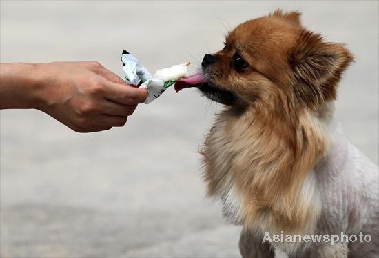 Heat wave hits China