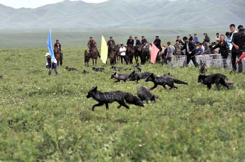 'Animal army' to protect the plains of Xinjiang