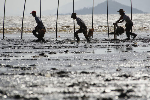 Anglers show off mudfishing skills in Guangdong