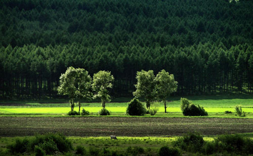 Volcanic lakes create heavenly scene in Inner Mongolia