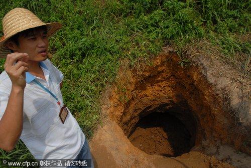 Termite nests destroyed for dyke security