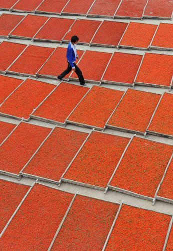 'Home of goji berries' awash in red