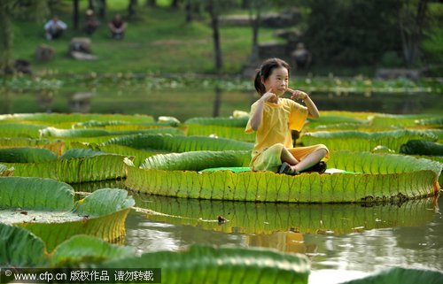 Children lounge on giant lotus leaves