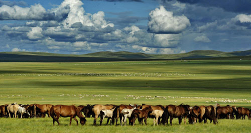 Beautiful scenes from Hulunbuir grassland