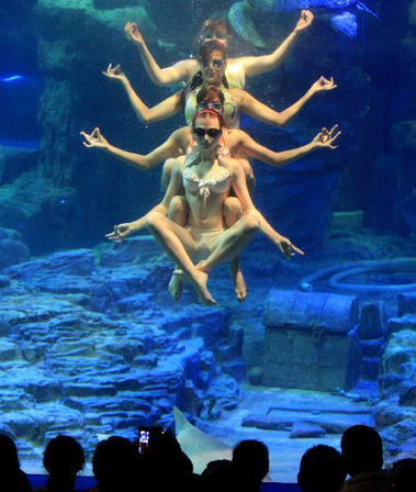 Russian swimmers perform underwater ballet in Wuhan