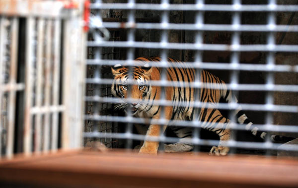 Zoo animals moving to new home