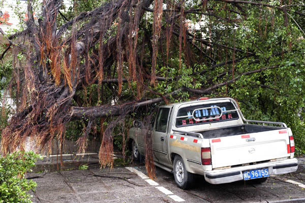 Fujian in disorder after Meranti makes landfall