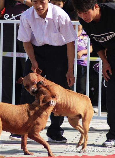 Ethnic games held in Xinjiang