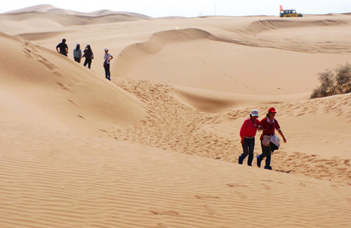 Feeling their way across the desert