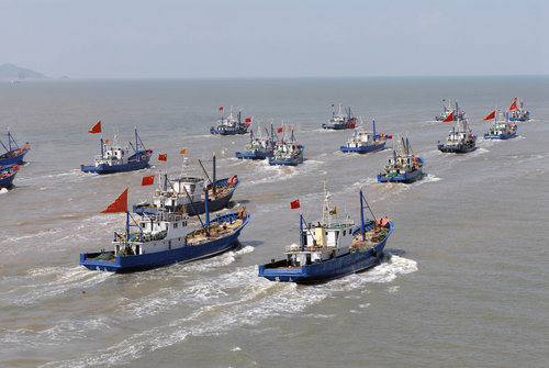 Fishing season restarts in East China Sea