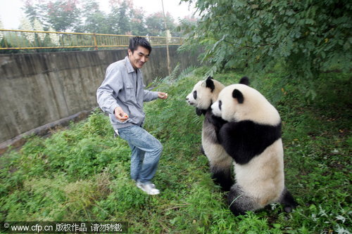 Pandas to promote city's tourism