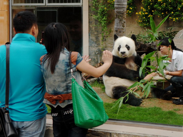 Oldest Panda returns to health