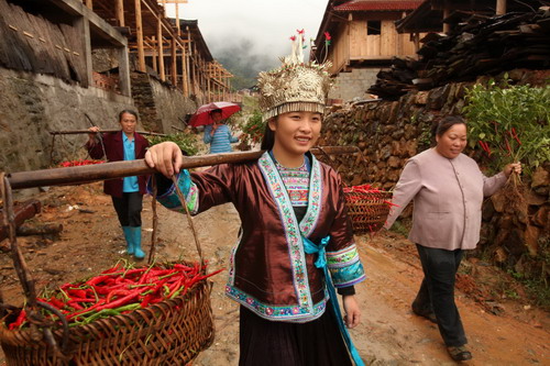 Red pepper competition in ethnic Miao village