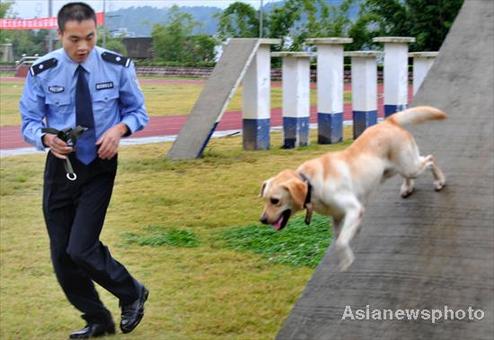 20 sniffer dogs leave for Guangzhou Asian Games