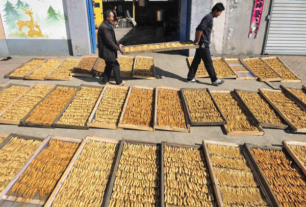 Asia's largest ginseng production centre in Jilin