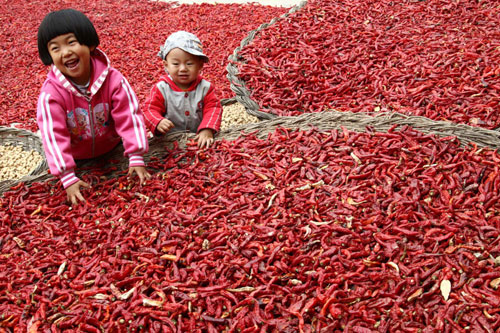 Village prepares for chili pepper festival