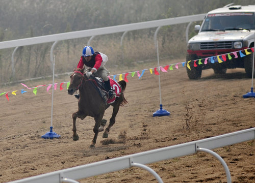 Horse versus horsepower in pre-festival derby