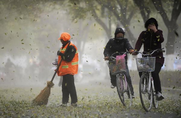 Gale alert issued in NW China