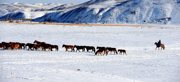 Emergency supplies sent to Inner Mongolia