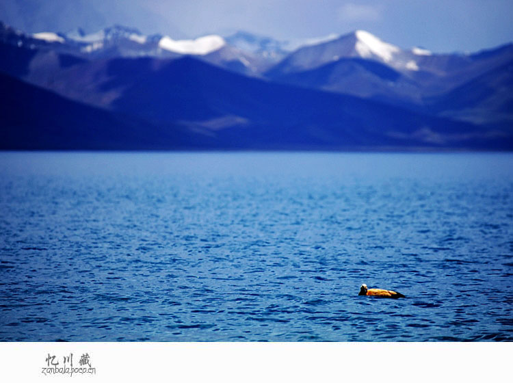 Jambhala: Tibet Buddhism influences photography