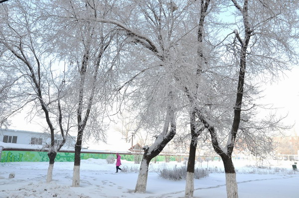 Temperature in N China city drops to -43 C