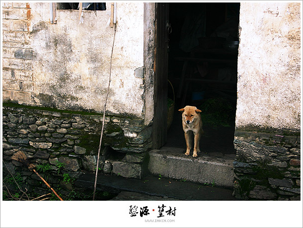 Wuyuan, East China's Jiangxi province