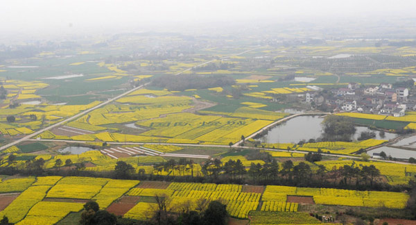 Spring arrives in China's first 'slow city'