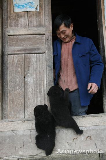 Farmer in Sichuan adopts twin bears