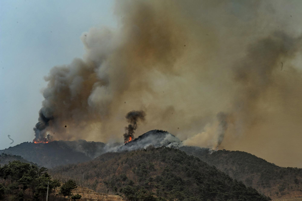 Efforts made to tame forest fire in N China