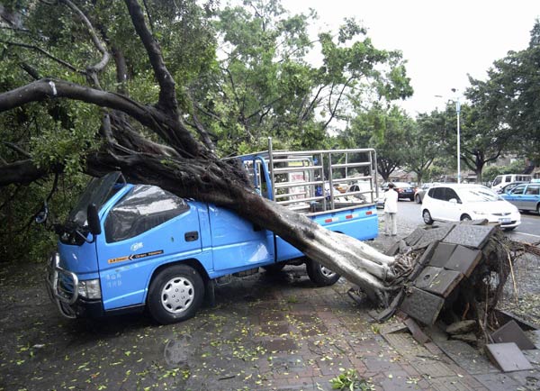 Hailstones, thundershower kill 12 in South China