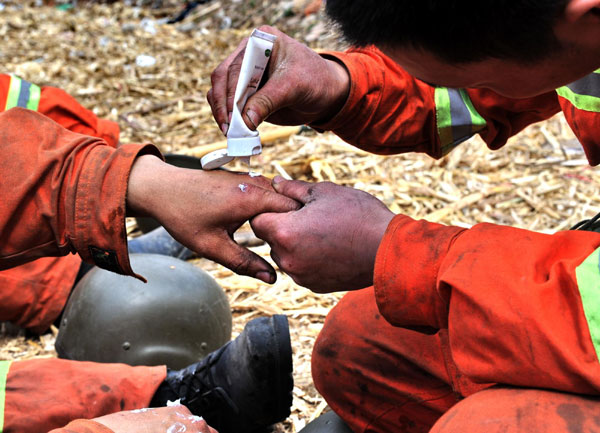 Forest fire in E China extinguished