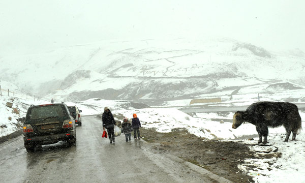 Heavy snow paralyzes road to Tibet