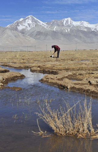 Increasing Tibet's wealth in a green way