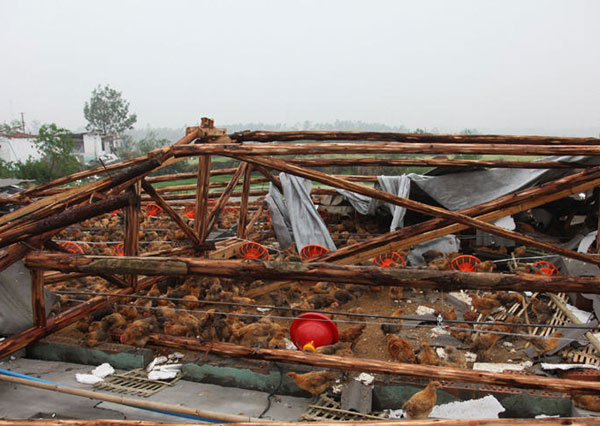 Storm and tornado brings havoc to SW China