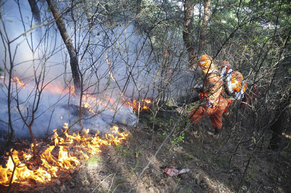 Forest fire put out in NE China