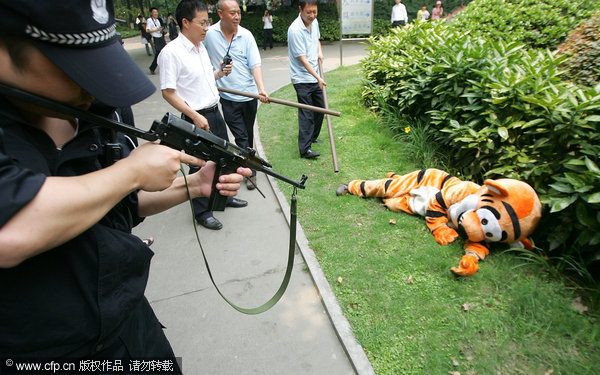 A tiger hunting game in SW China zoo