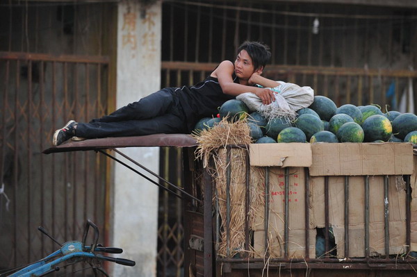 Rain adds to watermelon growers' sales woes